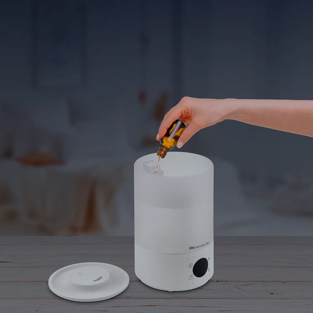 Ufesa Aroma Misty 2800