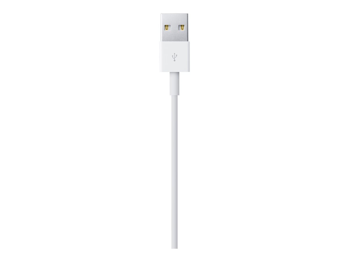 Apple Lightning to USB Cable 1 Meter