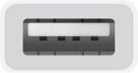 Apple USB-C naar USB (MJ1M2ZM/A)