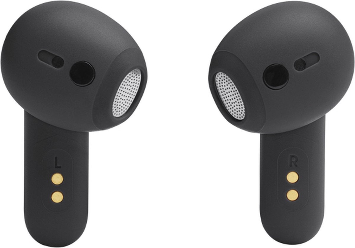JBL Live Flex Zwart