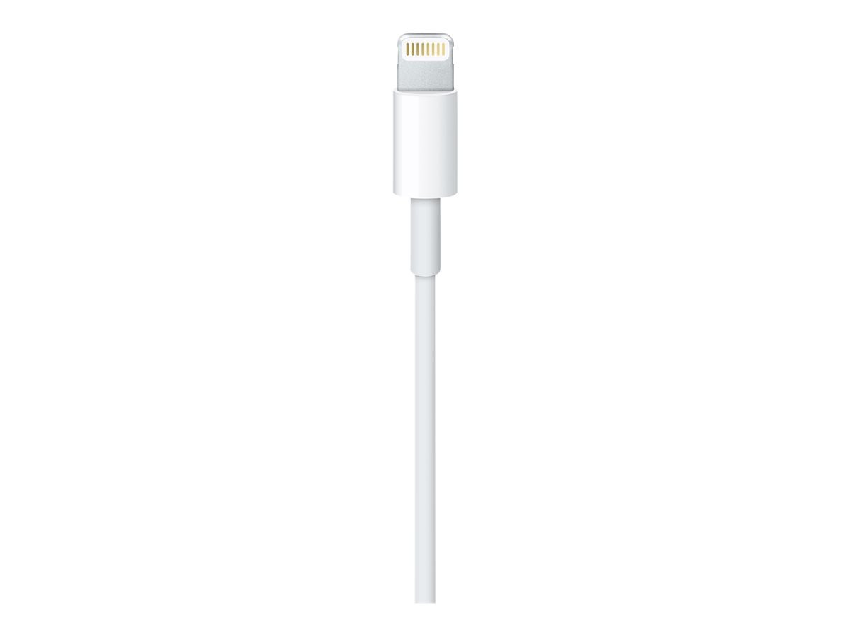Apple Lightning to USB Cable 1 Meter