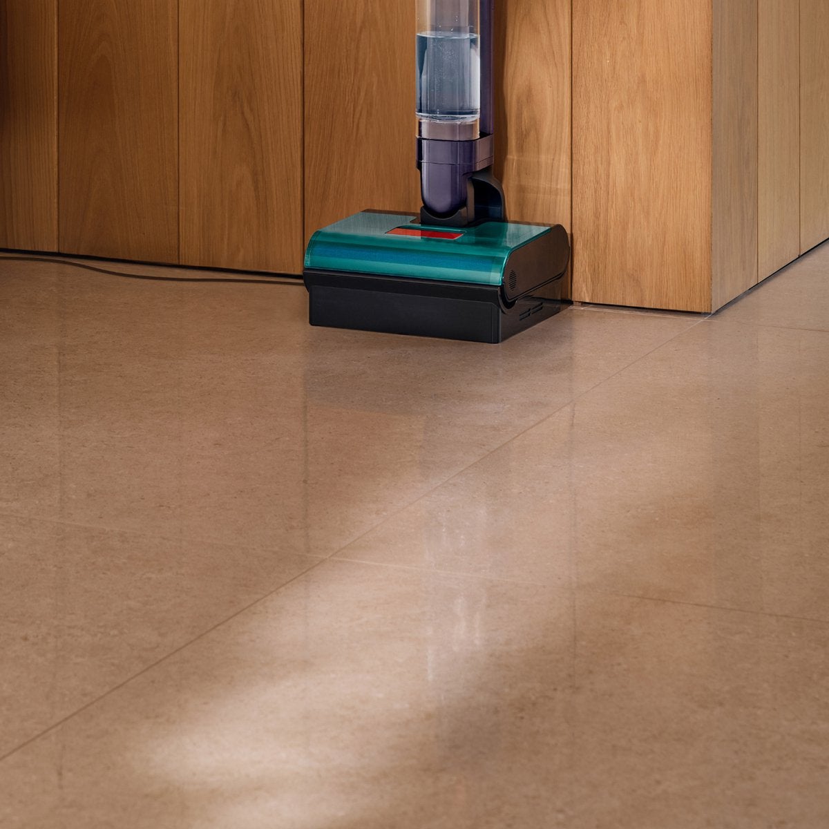 Dyson Clean+Wash Hygiene