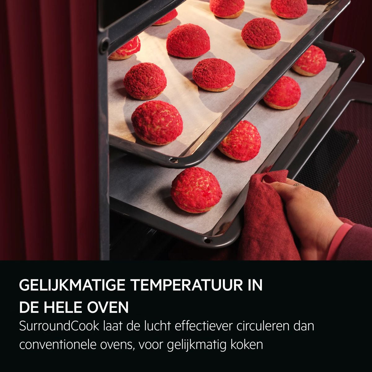 AEG TK6NK50FB 6000 CombiQuick