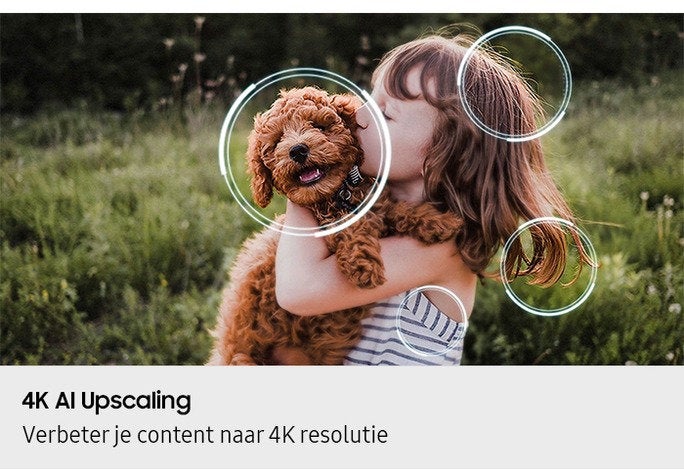 Samsung OLED 4K 55S85F (2025)