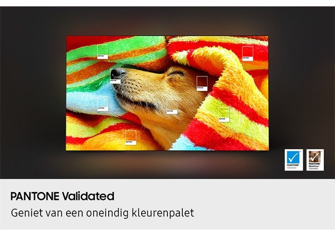Samsung OLED 4K 55S85F (2025)