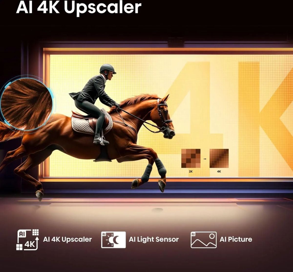 Hisense 65E79Q