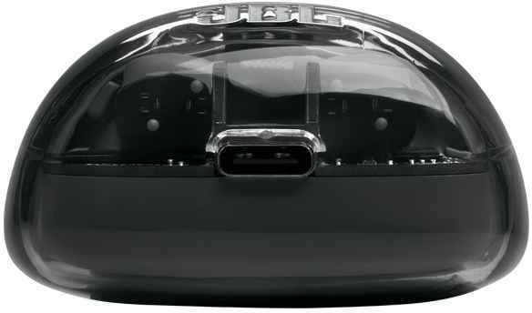 JBL Tune Flex 2 Transparant Zwart