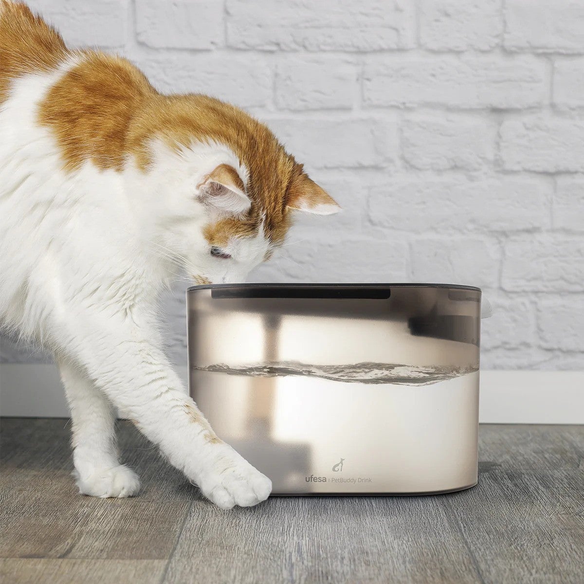 Ufesa PetBuddy Drink