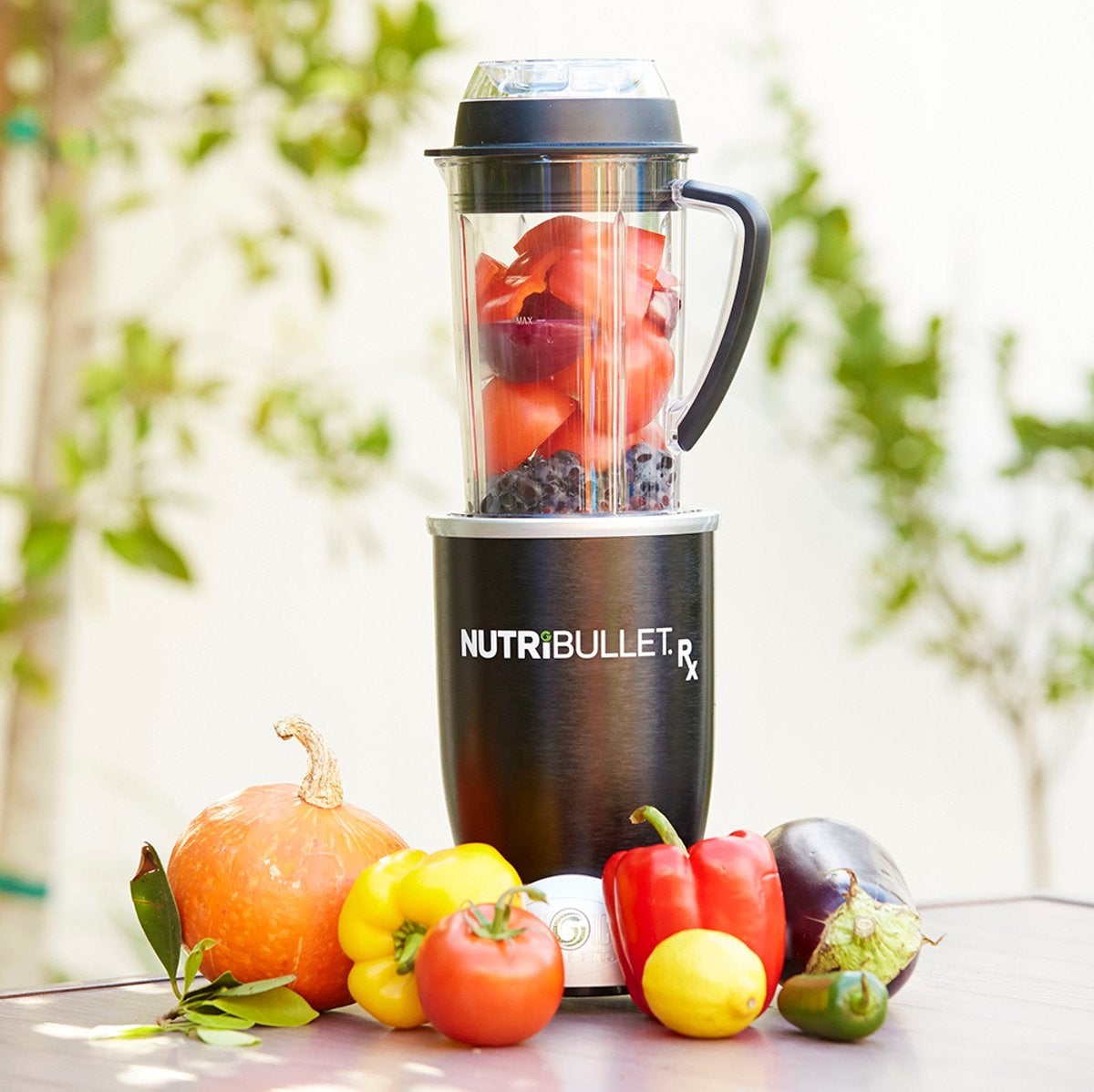 nutribullet RX (10-delig)